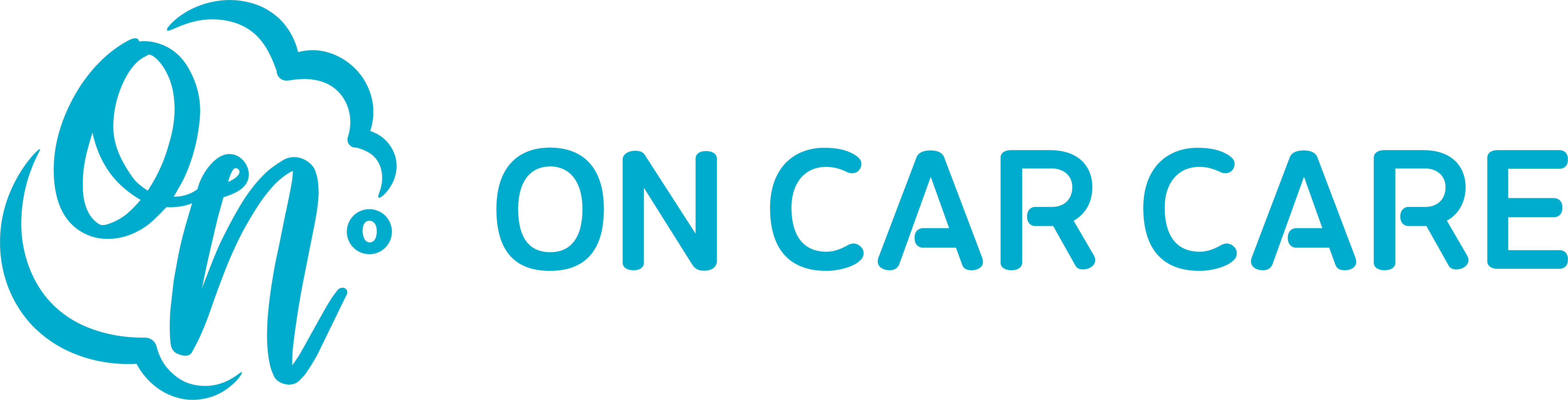 ON CAR CARE